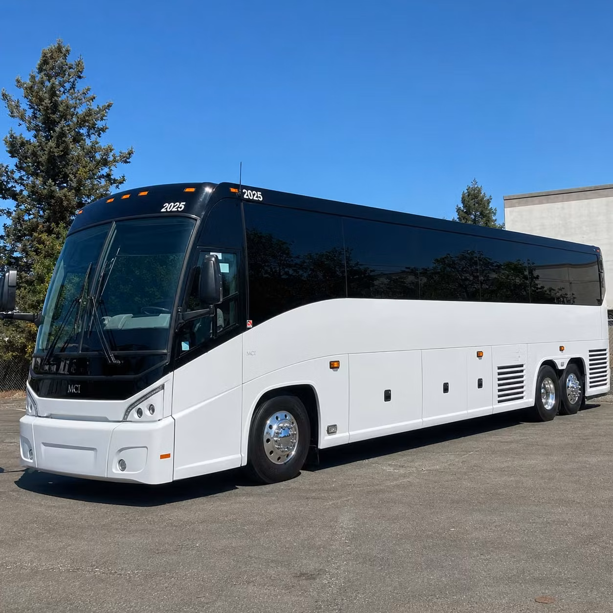bachelorette parties birthday buses and group celebrations on the way to the show